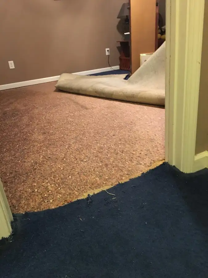 Carpet pad removal revealing water damage during Drying & Dehumidification in Rancho Murieta